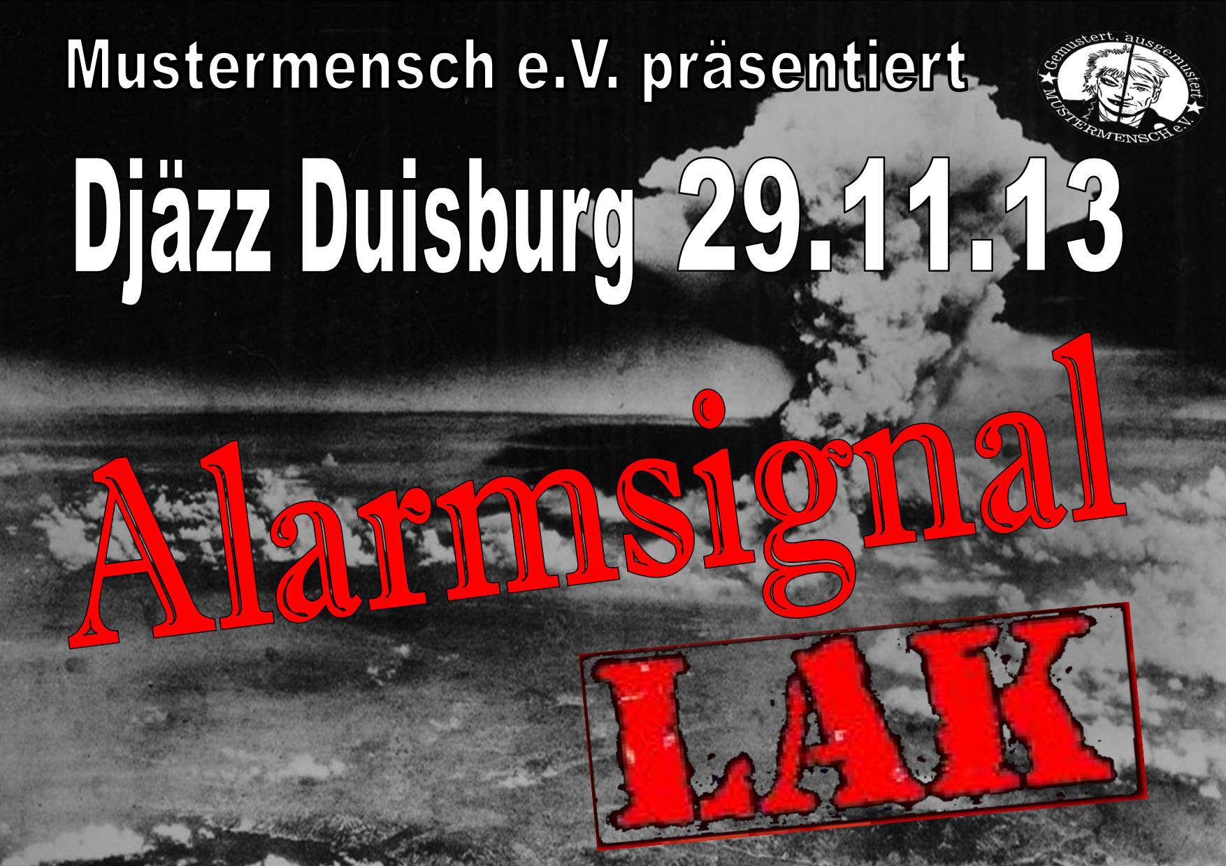 Flyer vom 29.11.2013